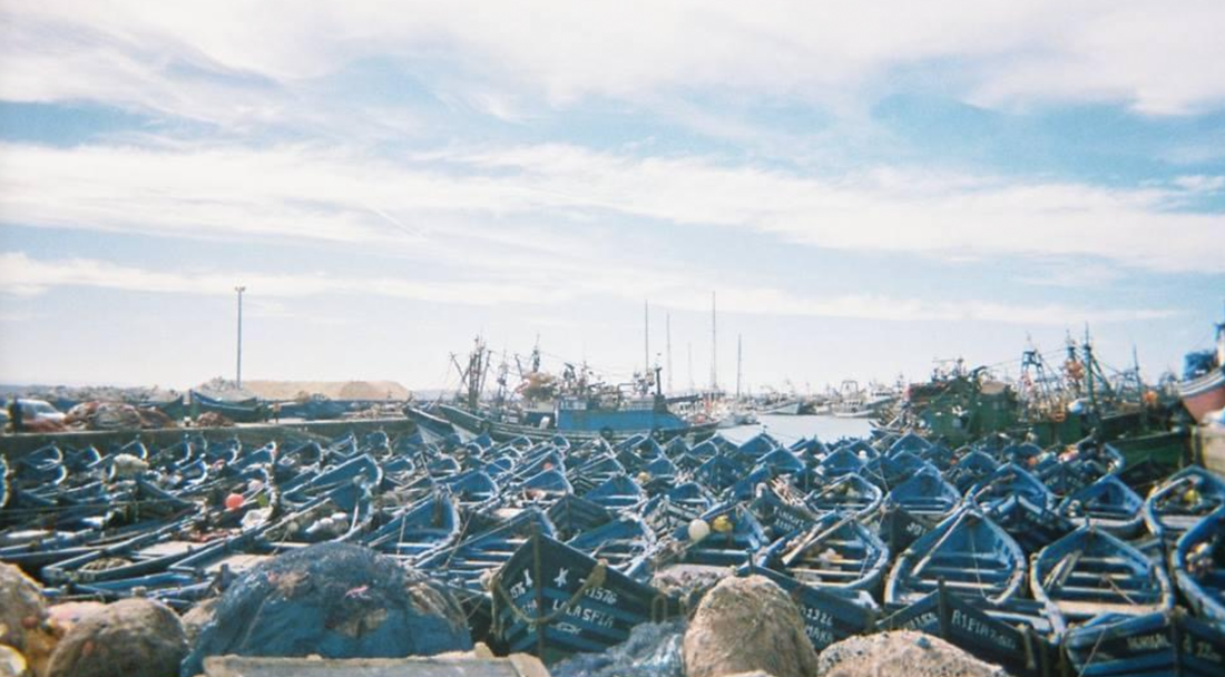 A harbour packed with rows of traditional blue wooden fishing boats